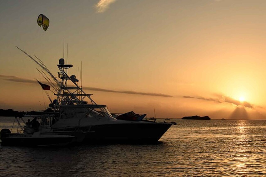 Picture 7 for Activity From San Juan: Bioluminescent Bay Boat Tour and Hot Springs