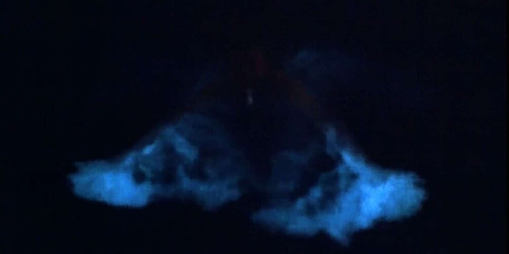 Picture 13 for Activity From San Juan: Bioluminescent Bay Boat Tour and Hot Springs