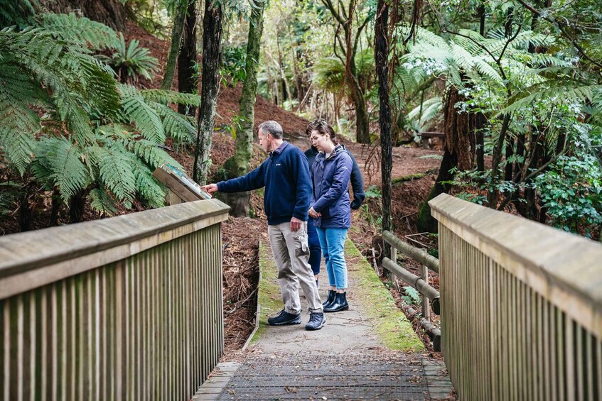 Picture 8 for Activity Rotorua: Explore The Lakes Half-Day Morning Tour