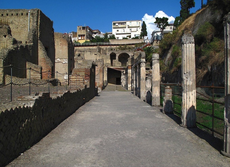 Picture 3 for Activity Naples: Pompeii & Herculaneum Tour with Lunch & Wine Tasting