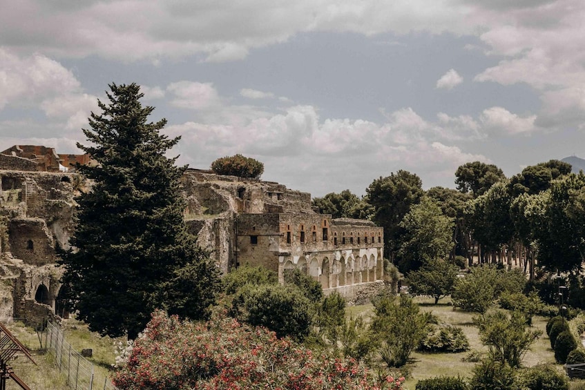 Picture 5 for Activity Naples: Pompeii & Herculaneum Tour with Lunch & Wine Tasting