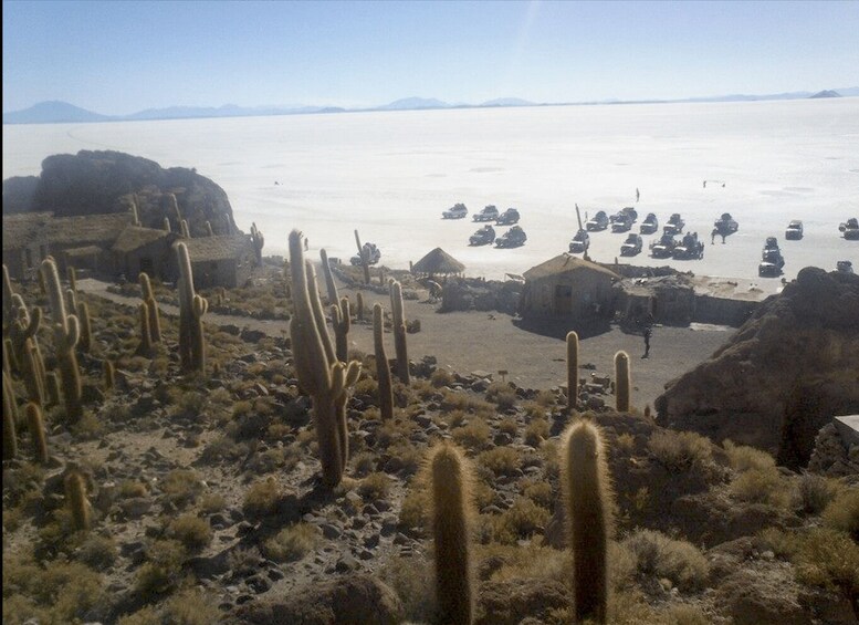 Picture 3 for Activity Salt Flat Uyuni from La Paz