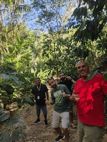 Fortaleza: Mountain Tour and Coffee Route