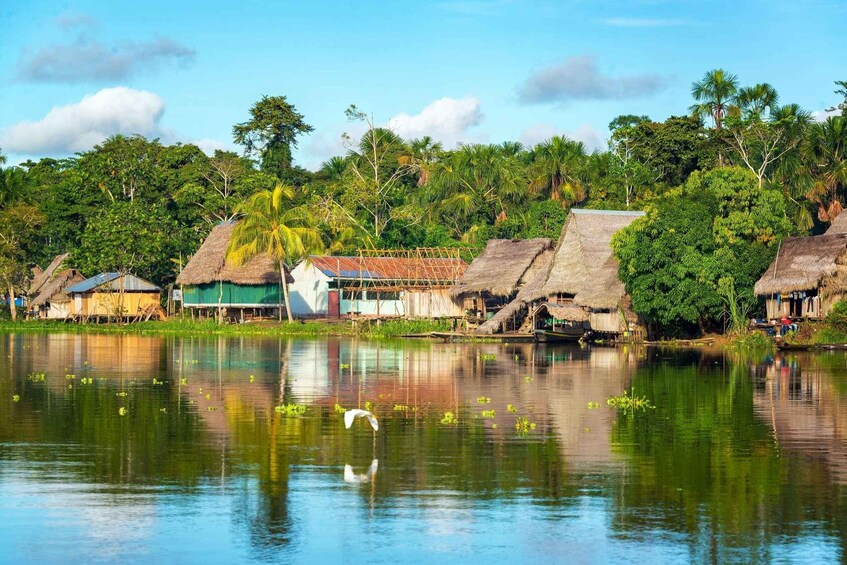 Picture 3 for Activity From Iquitos || Ayahuasca ceremony in Iquitos - for 5 hours