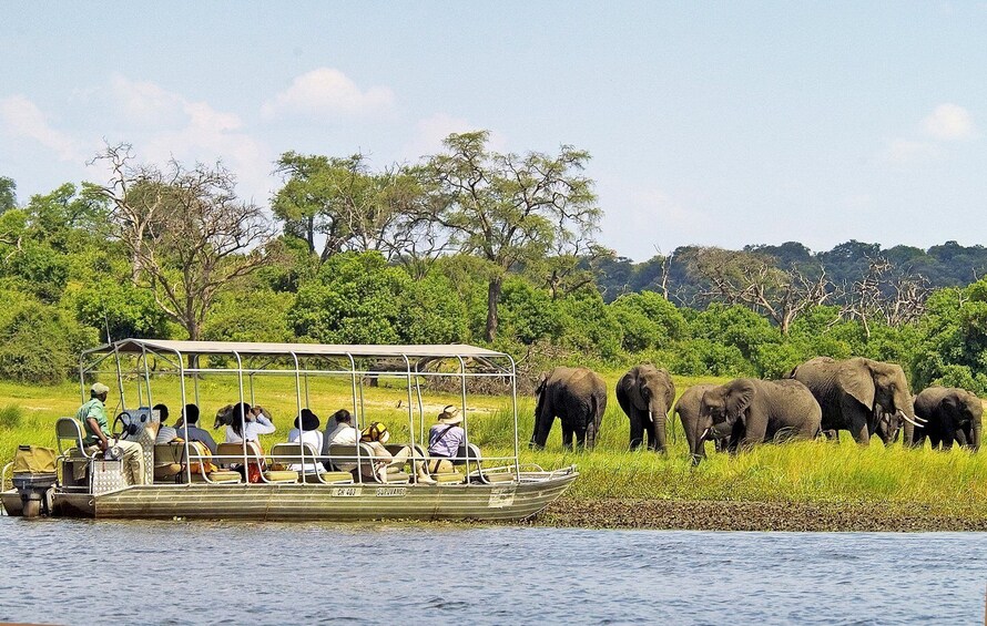 Picture 1 for Activity 3-Day Victoria Falls Adventure with Chobe National Park