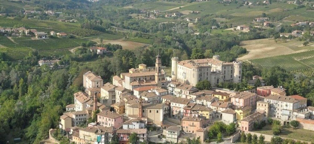 Picture 1 for Activity Costigliole d'Asti: E-Bike Tour with Food and Wine Tasting