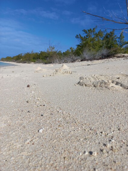 Picture 5 for Activity Three Islands of the North: Private Boat Trip & Beach BBQ