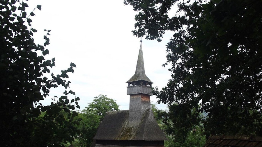 From Sighetu Marmatiei: Maramures and Barsana Monastery Tour