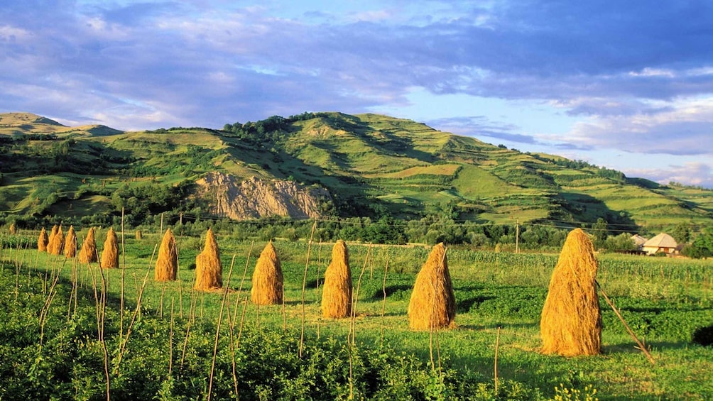 Picture 1 for Activity From Sighetu Marmatiei: Maramures and Barsana Monastery Tour