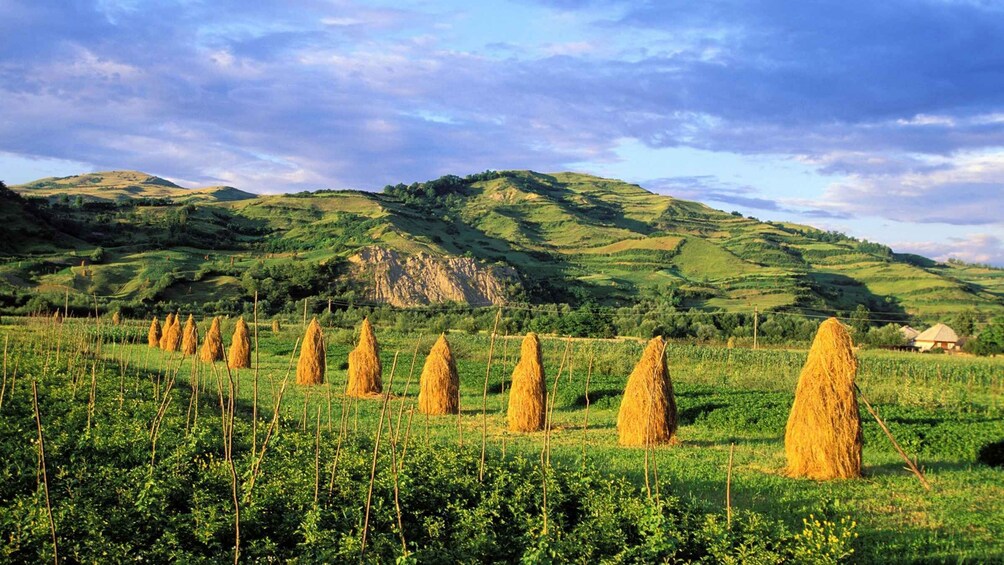 Picture 1 for Activity From Sighetu Marmatiei: Maramures and Barsana Monastery Tour