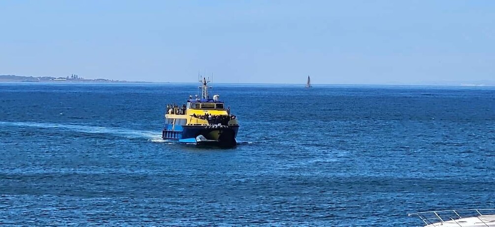 Luxury boat cruise from the V&A Waterfront