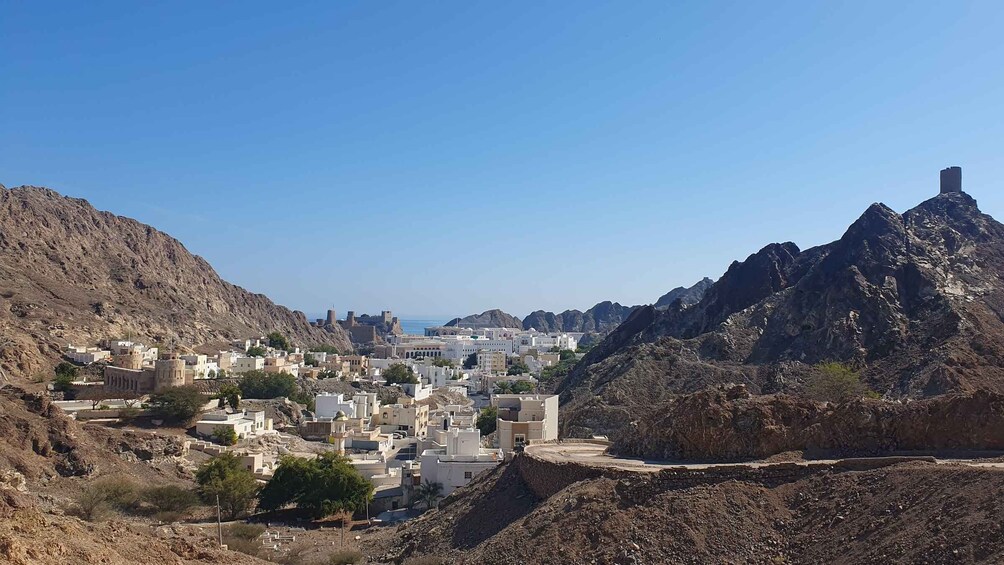 Picture 15 for Activity Highlights of Muscat city tour in private car with guide