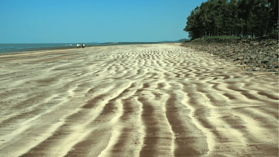 Guided Day Trip to Alibag-Kashid Beach from Mumbai