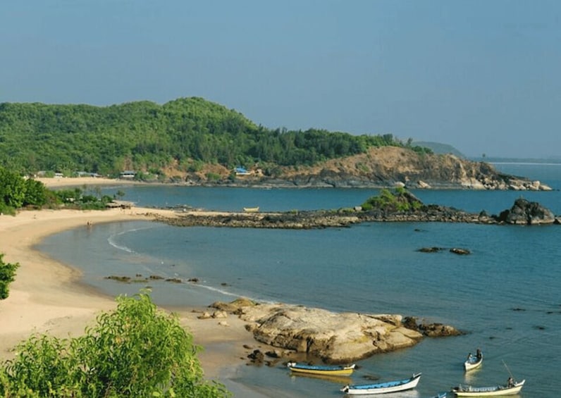 Picture 4 for Activity Guided Day Trip to Alibag-Kashid Beach from Mumbai