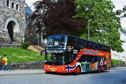 Ålesund : Billet de bus touristique hop-on hop-off de 1 jour