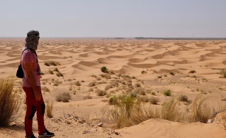 Djerba/Zarzis: Ksar Ghilane Tataouine & Chenini Day Tour