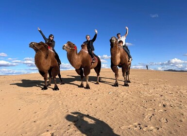 From Ulaanbaatar: Semi Gobi, Nomads, Ancient Kharkhorin Tour