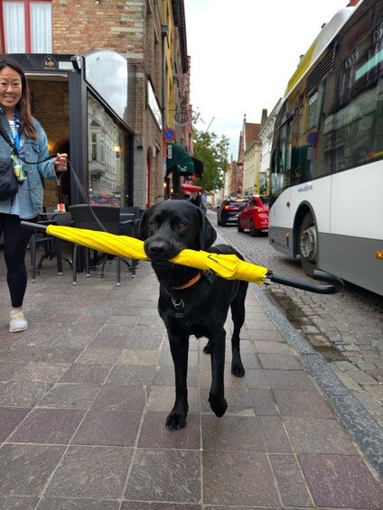 Picture 3 for Activity 💛 Tell Me About Bruges 🏰 1000 Years of Stories by Locals ⭐