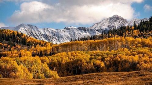 Colorado Autumn Colour Photography Workshop