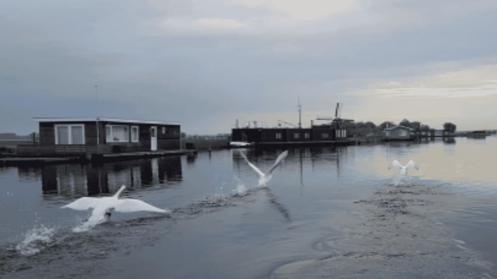 Picture 1 for Activity From Katwijk: Kaag Lakes Cruise