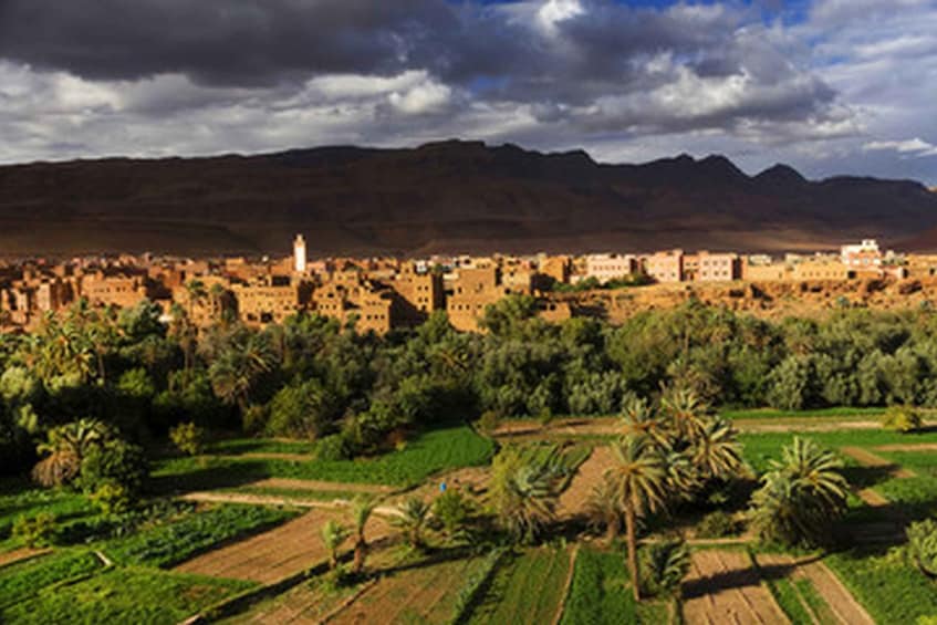 Picture 6 for Activity Morocco: Don't Miss the 8-day tour Casablanca to Marrakech