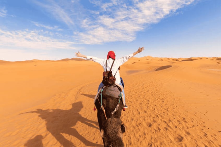 Picture 22 for Activity Morocco: Don't Miss the 8-day tour Casablanca to Marrakech