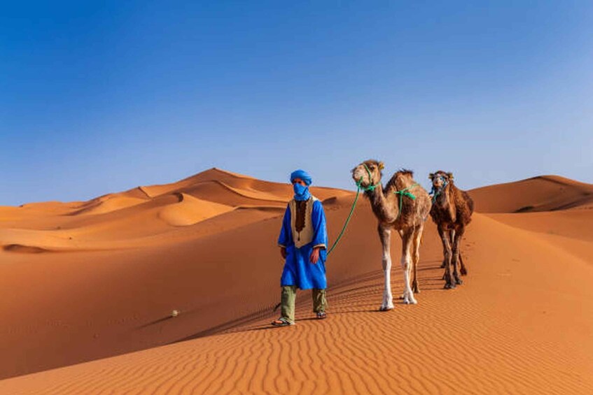 Picture 21 for Activity Morocco: Don't Miss the 8-day tour Casablanca to Marrakech