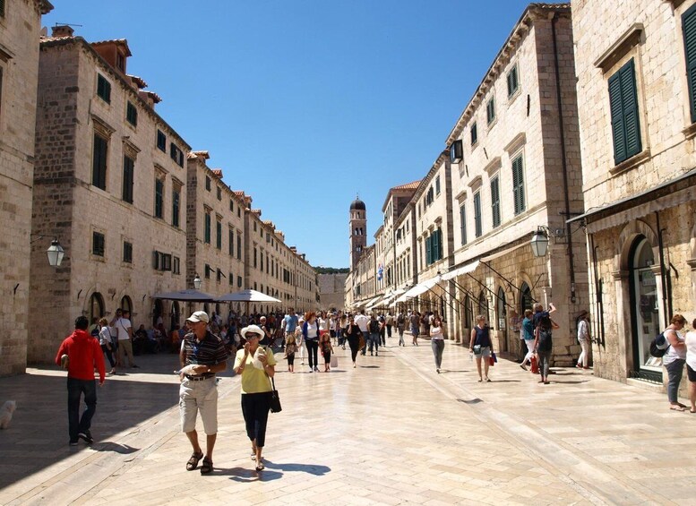 Picture 2 for Activity Dubrovnik: Old Town Walking Tour