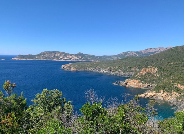 Moitié Terre, Moitié Mer