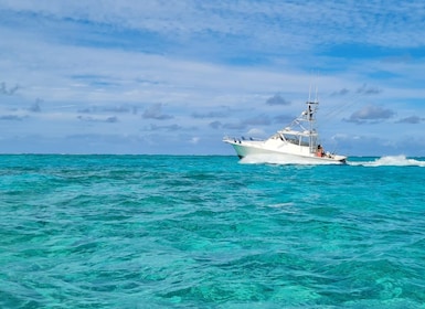 Turks & Caicos Deep Sea Fishing Morning, Angler Management
