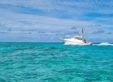 Turks & Caicos Deep Sea Fishing Morning, Angler Management