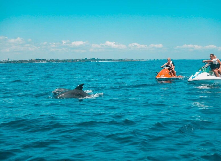 Picture 2 for Activity Jet Ski Dolphin Safari