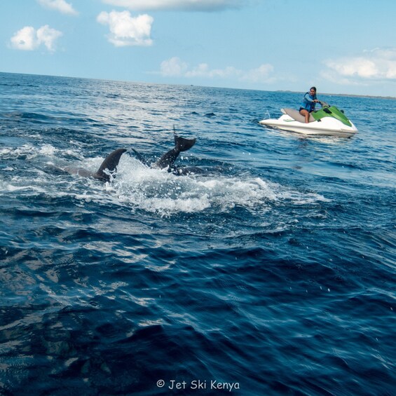Picture 1 for Activity Jet Ski Dolphin Safari