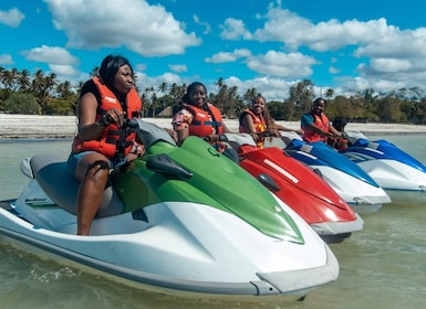 Jet Ski Dolphin Safari