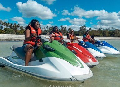 Jet Ski Dolphin Safari