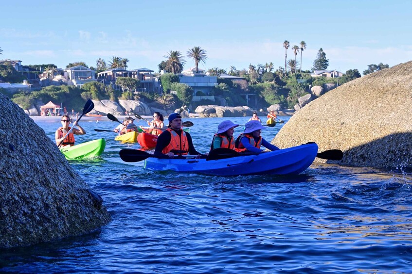 Picture 1 for Activity Cape Town: Guided Kayak Tour of Clifton Beaches & The Coast