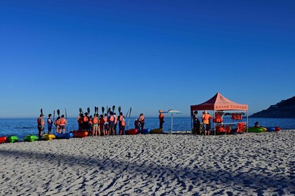 Cape Town: Guided Kayak Tour of Clifton Beaches & The Coast