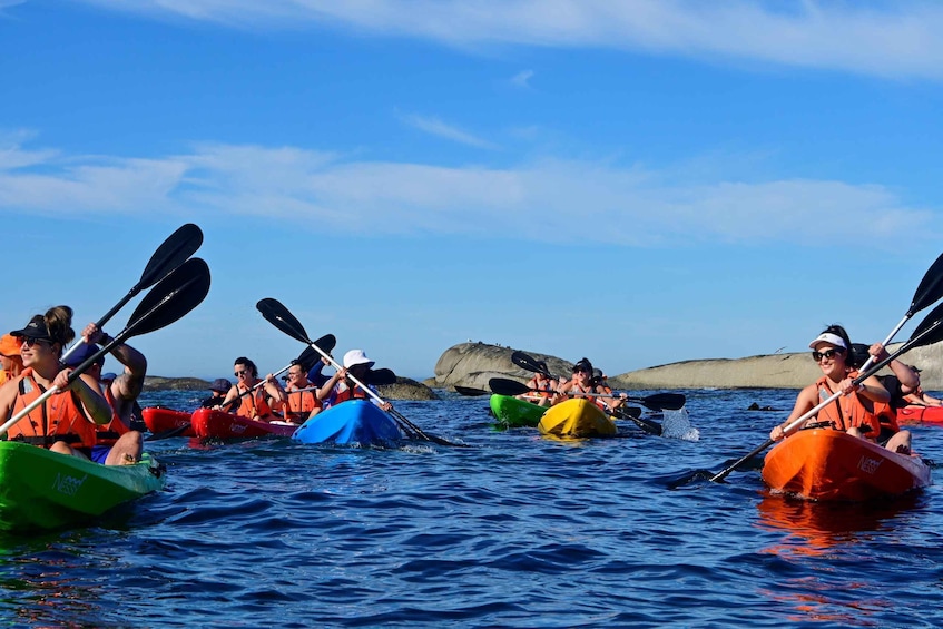 Picture 2 for Activity Cape Town: Guided Kayak Tour of Clifton Beaches & The Coast