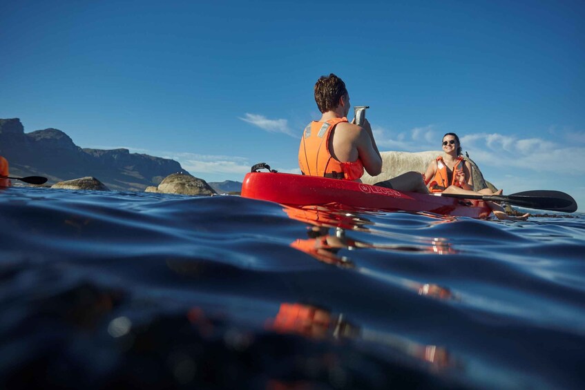 Picture 10 for Activity Cape Town: Guided Kayak Tour of Clifton Beaches & The Coast