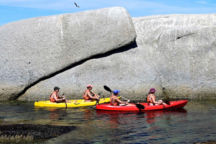Picture 9 for Activity Cape Town: Guided Kayak Tour of Clifton Beaches & The Coast