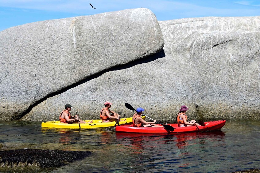 Picture 9 for Activity Cape Town: Guided Kayak Tour of Clifton Beaches & The Coast