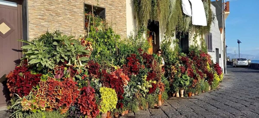 Sicilian experience with local guide , test wine and food