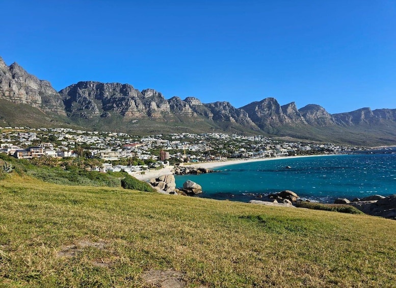 Picture 5 for Activity Cape of Good Hope & Penguins Shared Tour