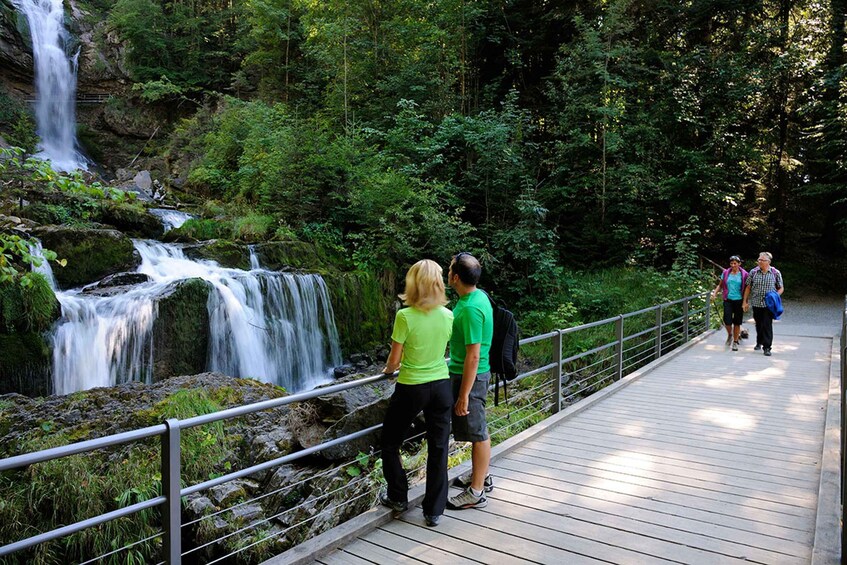 Picture 2 for Activity Interlaken & Jungfrau: Custom-Tailored Tour with Local Guide