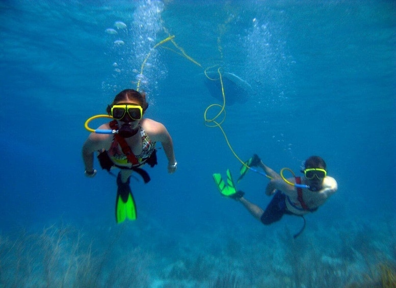 Picture 3 for Activity St. Thomas: Coral World Park SNUBA Trip with Certified Guide
