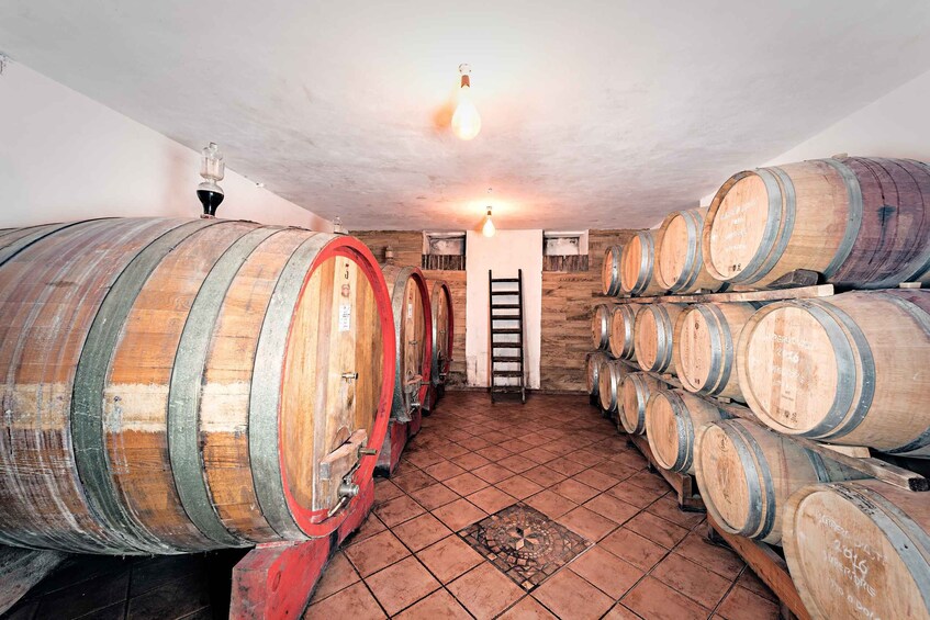 Picture 3 for Activity Monferrato: Barbera Wine Tasting Experience