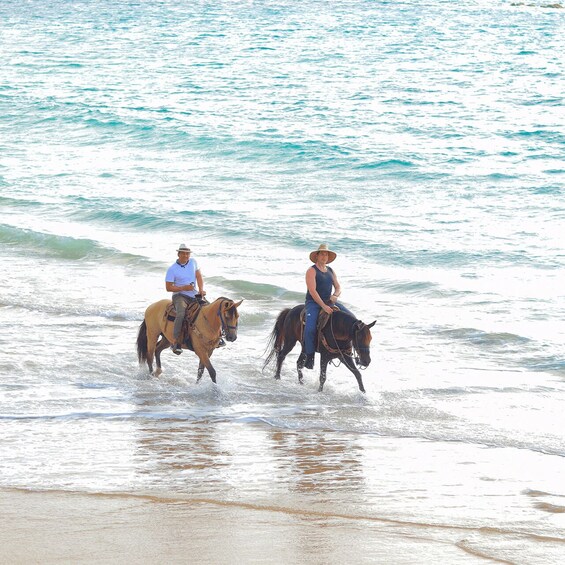 Picture 7 for Activity Horseback Riding