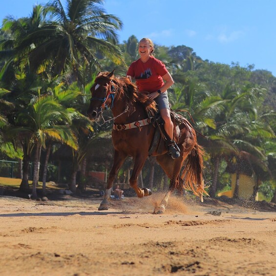 Picture 12 for Activity Horseback Riding