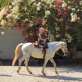 Horseback Riding Tour Sayulita