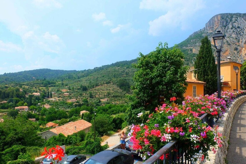 Picture 6 for Activity Nice: The Gorges du Verdon and Ste Croix Lake Full-Day Tour